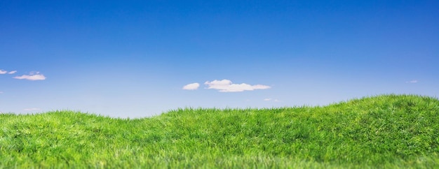 Campo de hierba verde nublado cielo azul fondo primavera día banner 3d ilustración