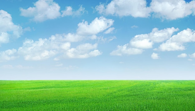 campo, de, hierba verde, panorama, cielo azul, con, nubes