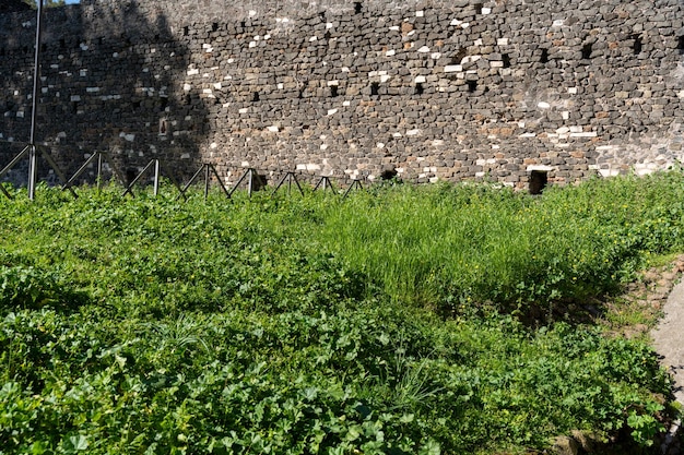 Un campo de hierba verde con una pared de piedra en el fondo