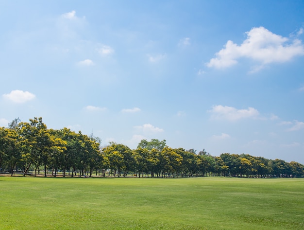 campo de hierba verde en el parque de la gran ciudad