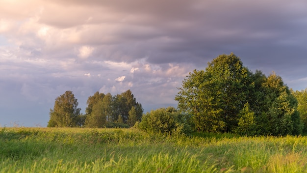 Un campo con hierba verde y pocos árboles al atardecer.