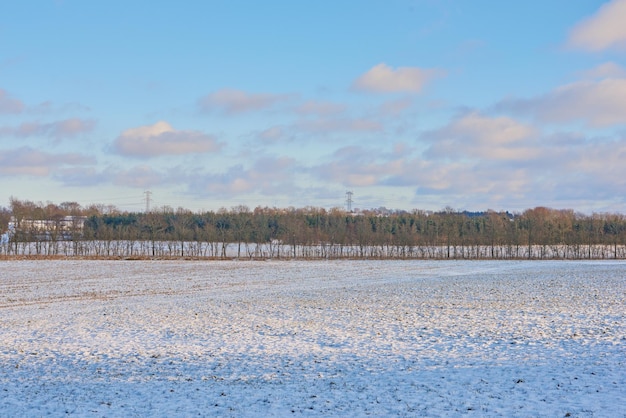 Campo de invierno en Dinamarca Paisaje de invierno en un día soleado con cielo azul