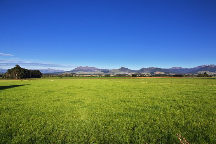 Foto campo de isla sur, nueva zelanda