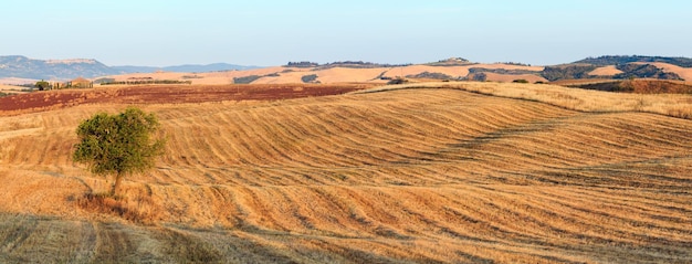 Campo Itália do nascer do sol da Toscana