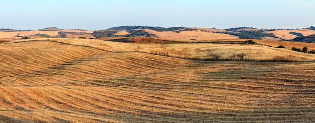 Campo Itália do nascer do sol da Toscana