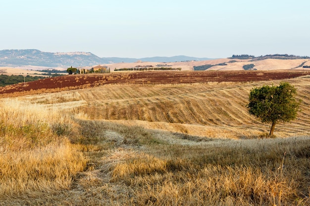 Campo Itália do nascer do sol da Toscana