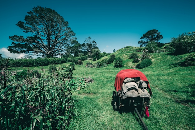 Campo Jardín Paisaje y Granja