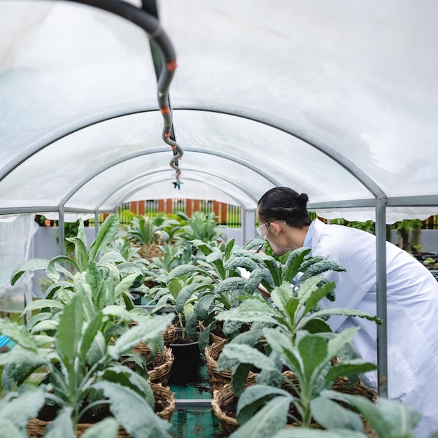 Campo de laboratorio de tecnología agrícola al aire libre de concepto de investigación científica de biología de medicina vegetal