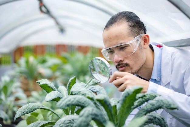 Foto campo de laboratorio de tecnología agrícola al aire libre de concepto de investigación científica de biología de medicina vegetal