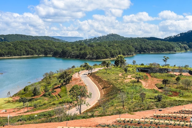 Campo de lavanda con arbustos frescos contra el lago y las montañas en Da Lat Vietnam