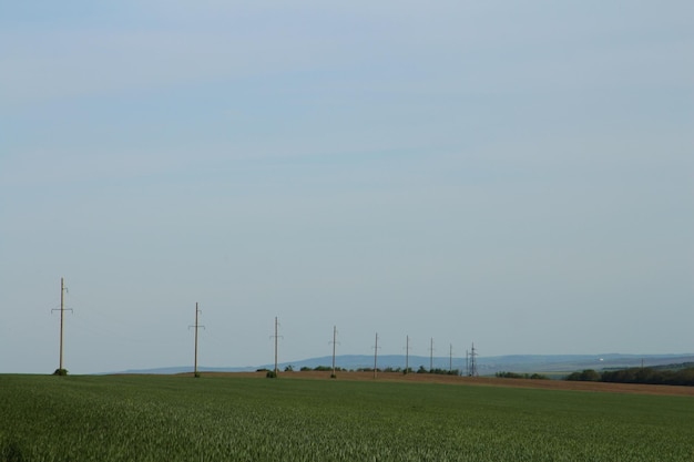 Un campo con líneas eléctricas