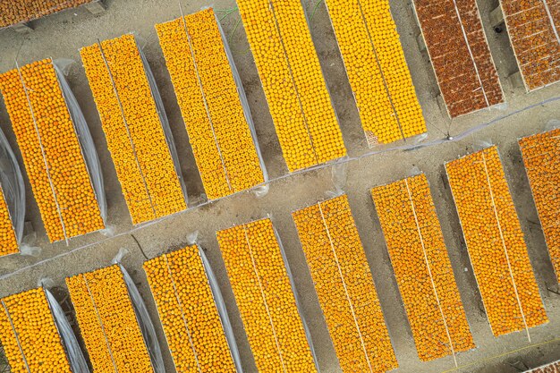 Foto un campo de maíz que tiene un tinte amarillo en él
