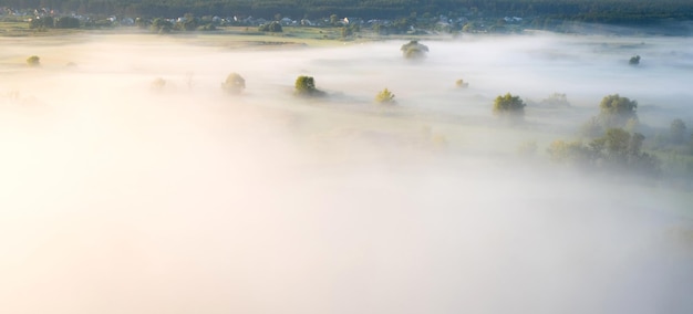 Campo de la mañana cubierto de niebla espesa