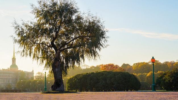 Campo de Marte en San Petersburgo.