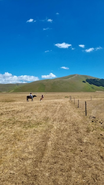 Un campo con una montaña al fondo.