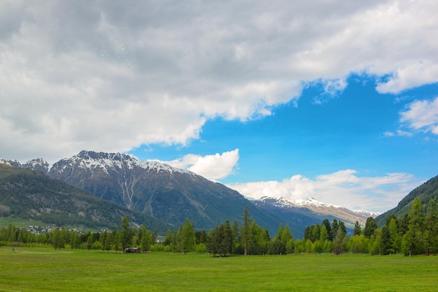 Un campo con una montaña al fondo.