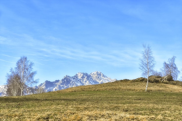 Un campo con una montaña al fondo.