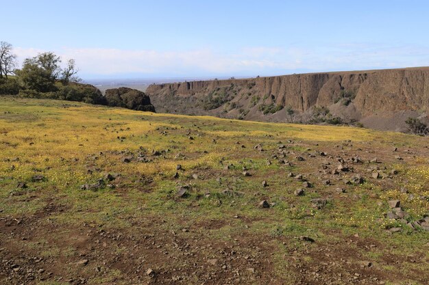 un campo con una montaña en el fondo y una gran formación rocosa en el medio