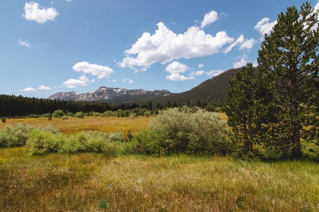 Un campo con montañas al fondo.