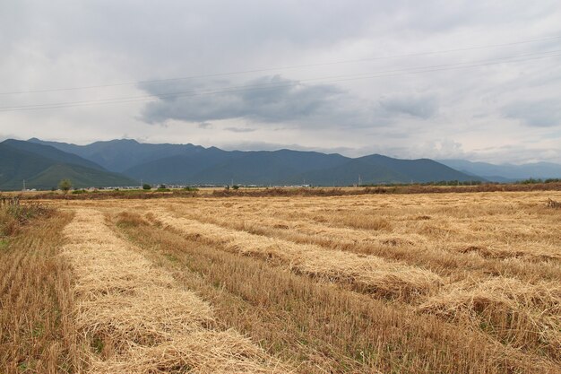 Foto el campo en las montañas del cáucaso, azerbaiyán