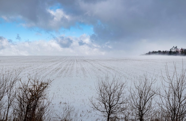 Campo nevado com restolho de palha perto da tempestade de neve da aldeia no céu agradável do dia de inverno