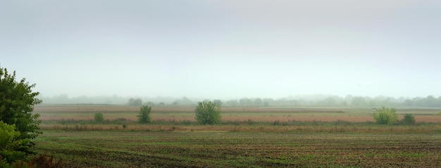 Campo en niebla espesa durante las lluvias Panorama del campo en otoño