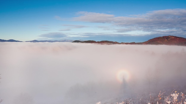 Campo en la niebla Hierba congelada en el campo en la fría mañana de invierno Hierba cubierta de escarcha blanca Comienzo del invierno Mañana helada y soleada Hielo en el prado Cristal de hielo en un prado