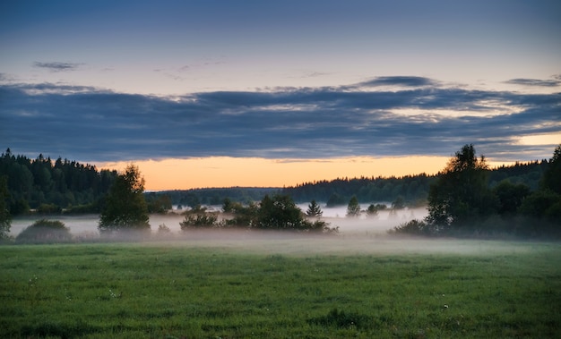 Campo de niebla con el telón de fondo de bosque y cielo nublado al atardecer paisaje rural