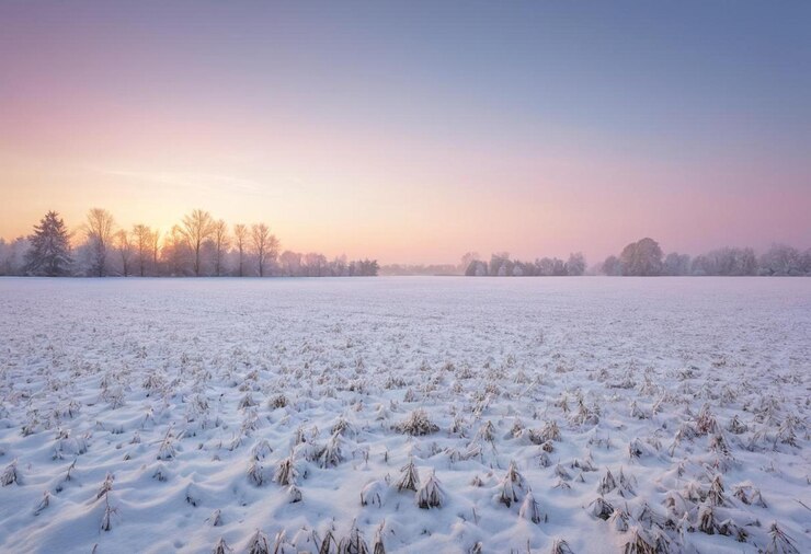 un campo de nieve con árboles en el fondo y un cielo púrpura