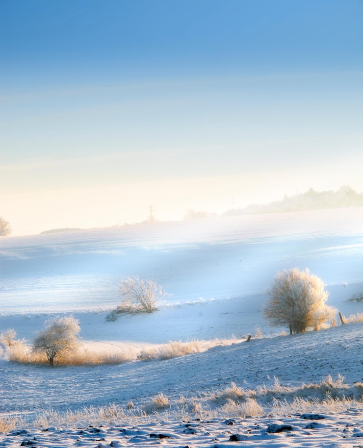 Foto campo de nieve y paisaje con pintoresco invierno o papel tapiz para dinamarca telón de fondo de la naturaleza medio ambiente cielo azul y frío rural para las vacaciones de navidad helada tranquila y pacífico roble de hielo para la serenidad