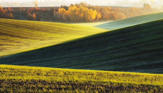 campo de otoño