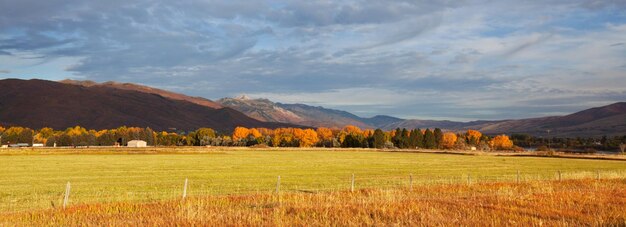 campo de otoño