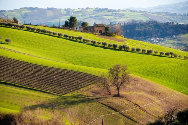 Campo paisaje verde campos agrícolas entre colinas