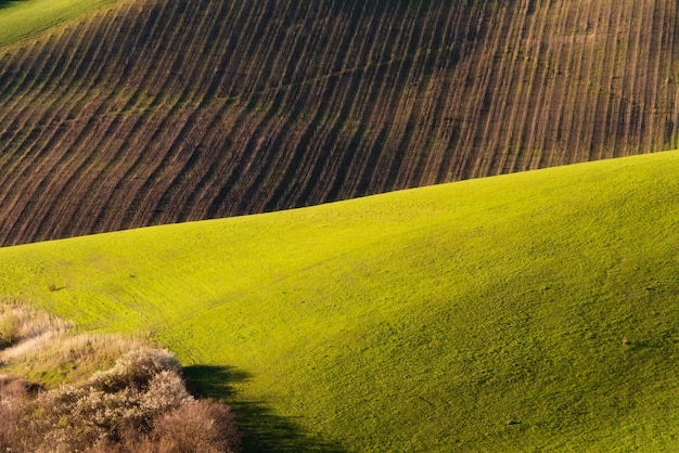 Campo paisaje verde campos agrícolas entre colinas