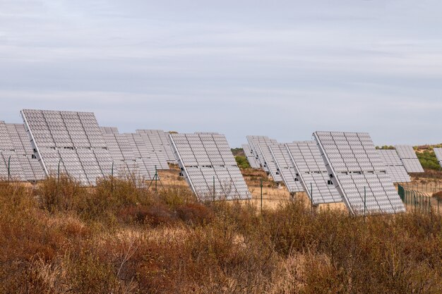 Campo de paneles solares fotovoltaicos reuniendo energía.