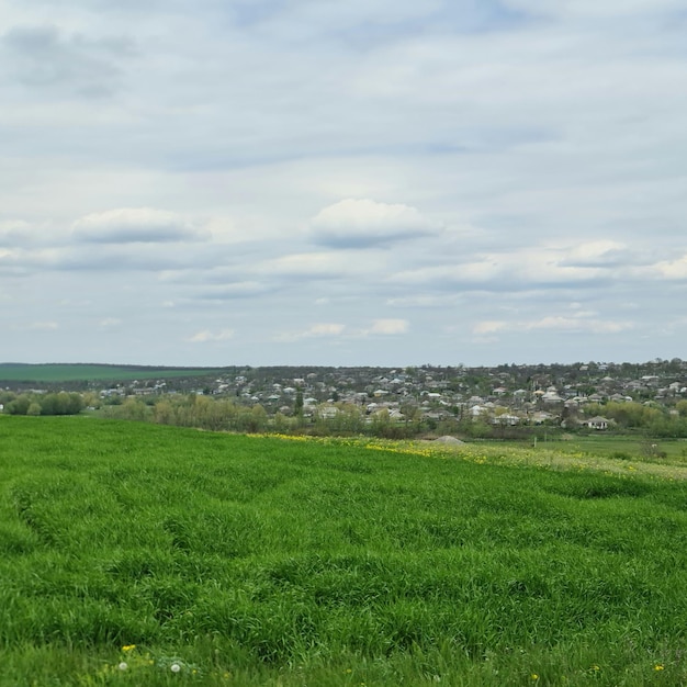 Un campo con un pequeño pueblo al fondo.