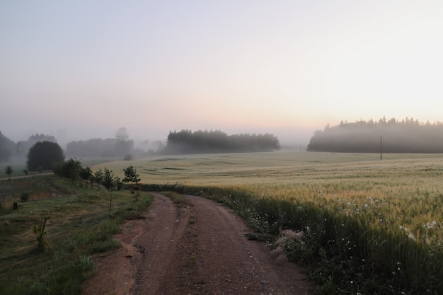 Campo pitoresco e paisagem campestre ao nascer do sol no verão