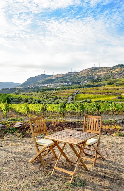 Campo plantado con vides en un día soleado al amanecer con una mesa de madera y dos sillas