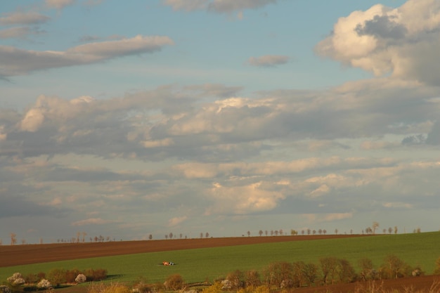 un campo con unos pocos árboles y un cielo con nubes