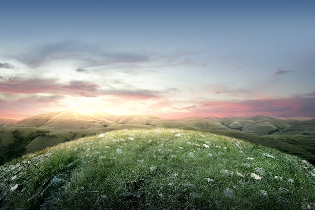 Campo de pradera con un cielo al atardecer