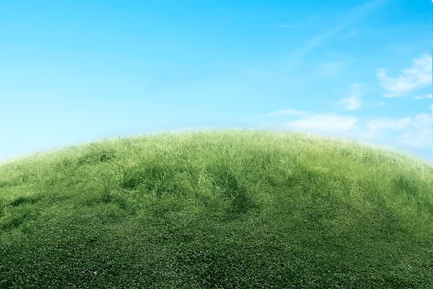 Campo de pradera con un fondo de cielo azul