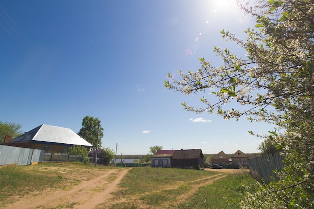 Campo en pueblo ruso en un día soleado de primavera