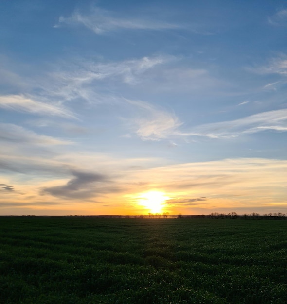 Un campo con una puesta de sol y algunas nubes.