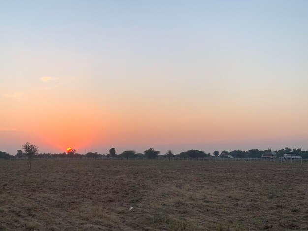 Un campo con una puesta de sol y algunos árboles.