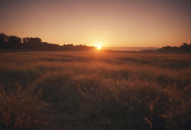 un campo con una puesta de sol en el fondo