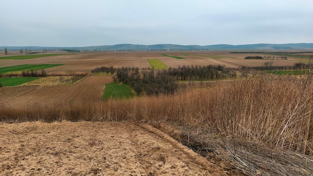 Campo recentemente arado Terra arável com solo fértil para plantar trigo Paisagem rural na Sérvia Balcãs nomeadamente Fruska Gora de Sremska Mitrovica Sulcos e covas Trabalho agrícola preparatório