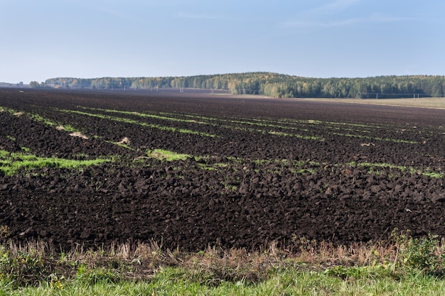 Campo recién arado y bosque de otoño.