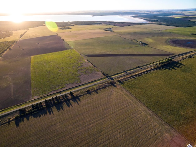 Campo sembrado con el método de siembra directa PampasArgentina