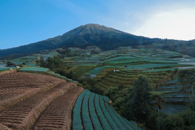 Foto campo sob a montanha