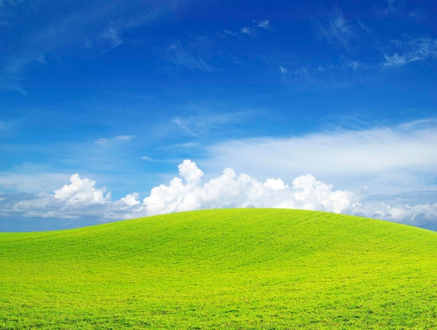 Campo sobre un fondo de cielo azul